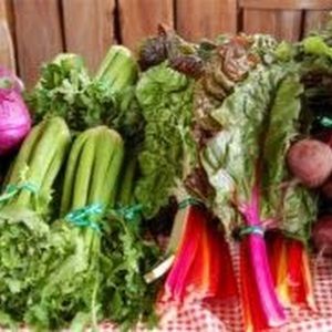 Meet your Posher, Slate